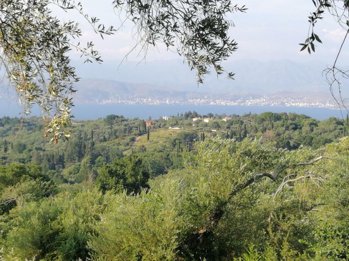 Olive Grove Deluxe Apartment Agnitsini Экстерьер фото