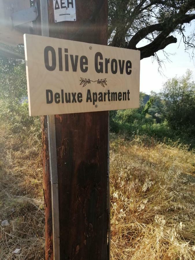 Olive Grove Deluxe Apartment Agnitsini Экстерьер фото